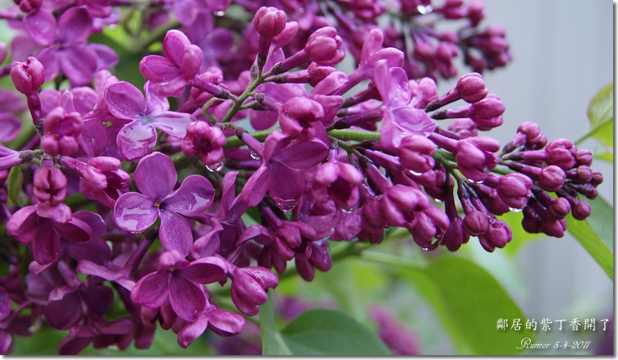 刘亦菲<em>表姐</em> 大表姐不雅照 <em>表姐帮我</em>撸管