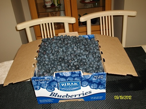 藍莓，藍莓，我愛你。
