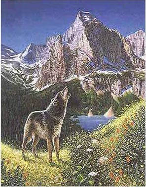 你能在岩石峭壁中找到其他4隻狼嗎？