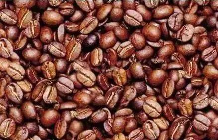 你能從咖啡豆中找到一張男人的臉嗎？