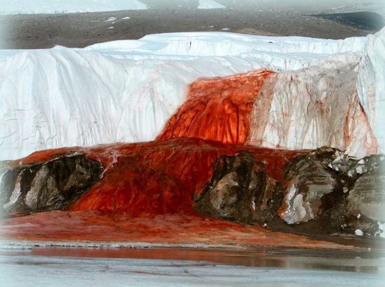 讓人毛骨悚然的地方南極洲的血瀑布