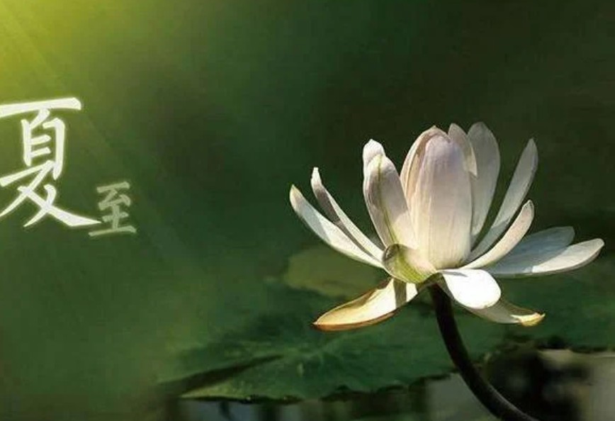 在暑雨