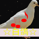 ☆白鴿☆